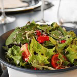 Salada terradasaguas
