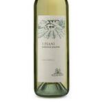 Copa Sella & Mosca I Piani Nuraghe Vermentino