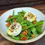Salada Chèvre & Mel