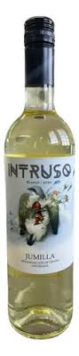 Intruso
