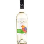 7 Colores Cortejo Sv Blanc