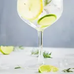 Gin Tônica