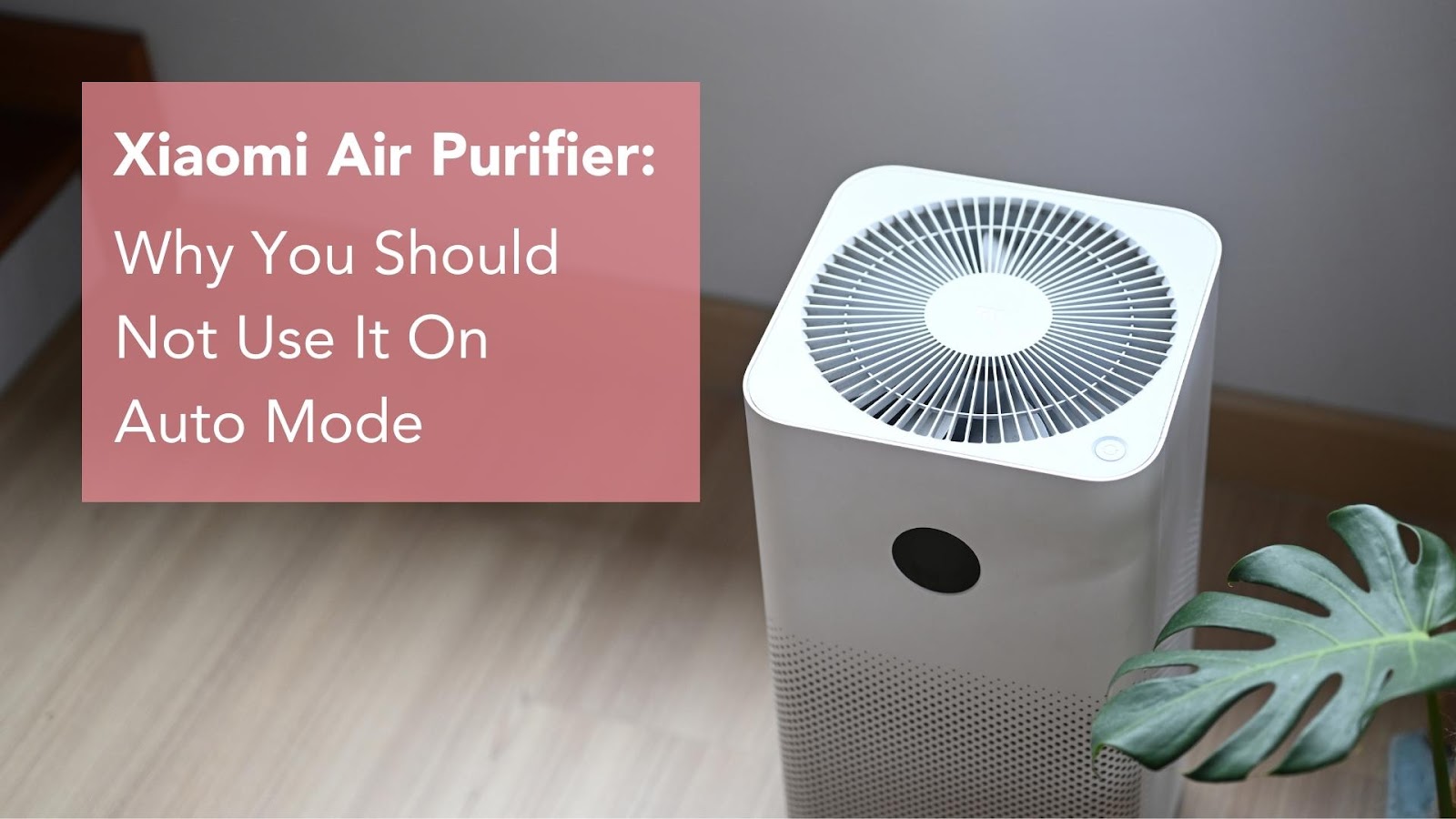 Xiaomi Air 2019 Купить