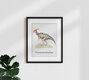 Mockup 'Parasaurolophus' – Arte di Gal Pittel come poster o stampa su vetro acrilico
