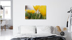 Mockup Krokussen in geel, Duitsland – wandkunst van Nadja Jacke als poster of acrylglasprint