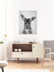 Mockup Photo art by Gal Pittel: cute baby kangaroo in black and white