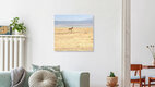 Mockup Wildbeest in Ngorongoro, Tansania – Fotokunst von Delia Kämmerer als Poster oder Acrylglasbild
