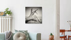Mockup Treibholz, Kanada – Fotokunst von Alexander Voss als Poster oder Acrylglasbild