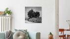 Mockup Olive Tree, Morocco – wall art by David Scheffer as Poster or Acrylic Glass Print