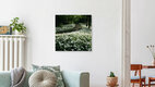 Mockup Bärlauchteppich im Botanischen Garten in Bielefeld, Deutschland – Fotokunst von Nadja Jacke als Poster oder Acrylglasbild