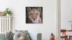 Mockup Portrait einer Löwin II, Botswana – Fotokunst von Dennis Wehrmann als Poster oder Acrylglasbild