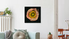 Mockup Mohn, Deutschland – Fotokunst von Ramona Reimann als Poster oder Acrylglasbild