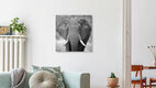 Mockup Elefant in der Khwai Konzession in Botswana, Botswana – Fotokunst von Dennis Wehrmann als Poster oder Acrylglasbild