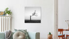 Mockup Einsamer Baum im Nebel, Deutschland – Fotokunst von Thomas Wegner als Poster oder Acrylglasbild