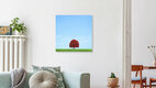 Mockup Lonely boy, Chile – Fotokunst von Pascal Krumm als Poster oder Acrylglasbild