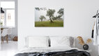 Mockup Hexenbaum von Fanal auf Madeira, Portugal – Fotokunst von Michael Valjak als Poster oder Acrylglasbild