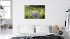Mockup Sea of Blossoms – Crocuses and Yellow Star-of-Bethlehem in Spring, Germany – wall art by Nadja Jacke as Poster or Acrylic Glass Print