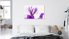 Mockup Pinke Blüten der Flammenblumen in Eis, Deutschland – Fotokunst von Marc Heiligenstein als Poster oder Acrylglasbild