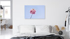 Mockup Kirschblütenpracht vor blauem Himmel, Deutschland – Fotokunst von Nadja Jacke als Poster oder Acrylglasbild