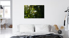 Mockup Chickweed in Backlight, Germany – wall art by Nadja Jacke as Poster or Acrylic Glass Print