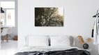 Mockup Blackthorn Blossoms at Sunset, Germany – wall art by Nadja Jacke as Poster or Acrylic Glass Print