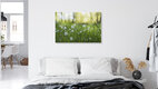 Mockup Chickweed on the Forest Floor, Germany – wall art by Nadja Jacke as Poster or Acrylic Glass Print