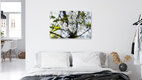 Mockup Wild Cherry Blossom in Spring Light, Germany – wall art by Nadja Jacke as Poster or Acrylic Glass Print