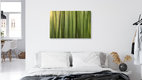 Mockup Vertical Green, Germany – wall art by Nadja Jacke as Poster or Acrylic Glass Print
