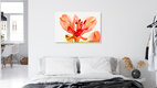 Mockup Wide-open Inca lily blossom gently encased in ice.