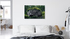 Mockup Wind-shaped tree in Ibiza: gentle green leaves and fine branches swaying in the breeze