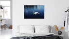 Mockup Photo art by Manuela Deigert: calm swan on reflective water