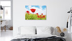 Mockup Photo art by Manuela Deigert: Red poppy field under a clear sky.