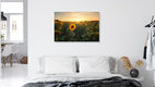 Mockup Sunflower field in the Harz with soft sunset colors