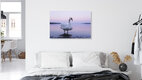 Mockup Photo art by Nadja Jacke: calm evening mood with a swan on the water