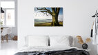 Mockup Fotokunst von Heiko Gerlicher: ruhige Baumlandschaft im Nebel