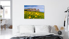 Mockup Feld mit Trollblumen und den Dolomiten im Hintergrund an einem sonnigen Frühlingstag.
