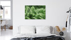 Mockup Blurred fern in soft colors, creating a calm atmosphere.