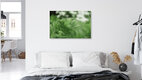 Mockup Close-up of a fern frond with a gentle bokeh effect in the background