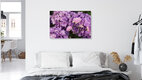 Mockup Nadja Jacke, Roses in front of hydrangeas - Germany, Europe