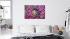Mockup Nadja Jacke, Hydrangea blossoms - Germany, Europe