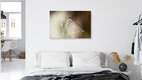 Mockup Photo art by Manuela Deigert: delicate dragonfly in soft bokeh light