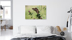 Mockup Butterfly resting on a thistle bloom, delicate wings in soft colors.