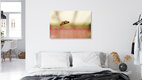 Mockup Photo art by Manuela Deigert: moth resting in soft light on a minimalist surface.