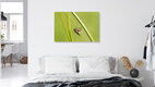 Mockup Close-up of a fly on a grass stem, delicate and detailed in a natural setting.