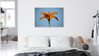 Mockup Daylily against blue sky: close-up of a blooming flower in soft light