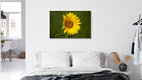 Mockup Photo art by Oliver Buchmann: sunflower in warm summer light