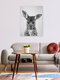 Mockup Photo art by Gal Pittel: cute baby kangaroo in black and white