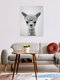 Mockup Black and white photo of a cute baby alpaca with a joyful expression