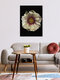 Mockup Photo art by Ramona Reimann: Peony in soft light and shadow nuances.