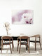 Mockup Light Cherry Blossoms with Soft Background, Germany – wall art by Nadja Jacke as Poster or Acrylic Glass Print